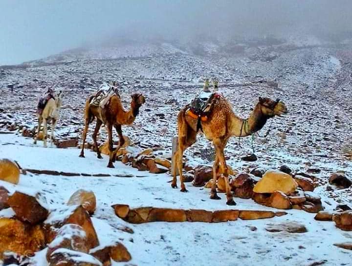 trip of Saint Catherine Monastery and Mount Moses