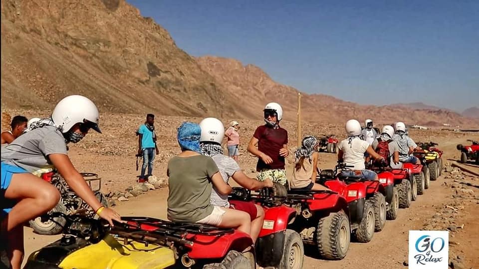 Beach Buggy Safari